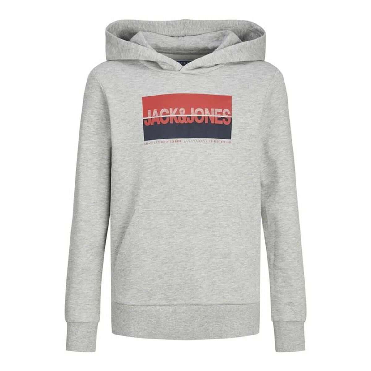 Men’s Hoodie Jack & Jones Jjnolan Grey-0