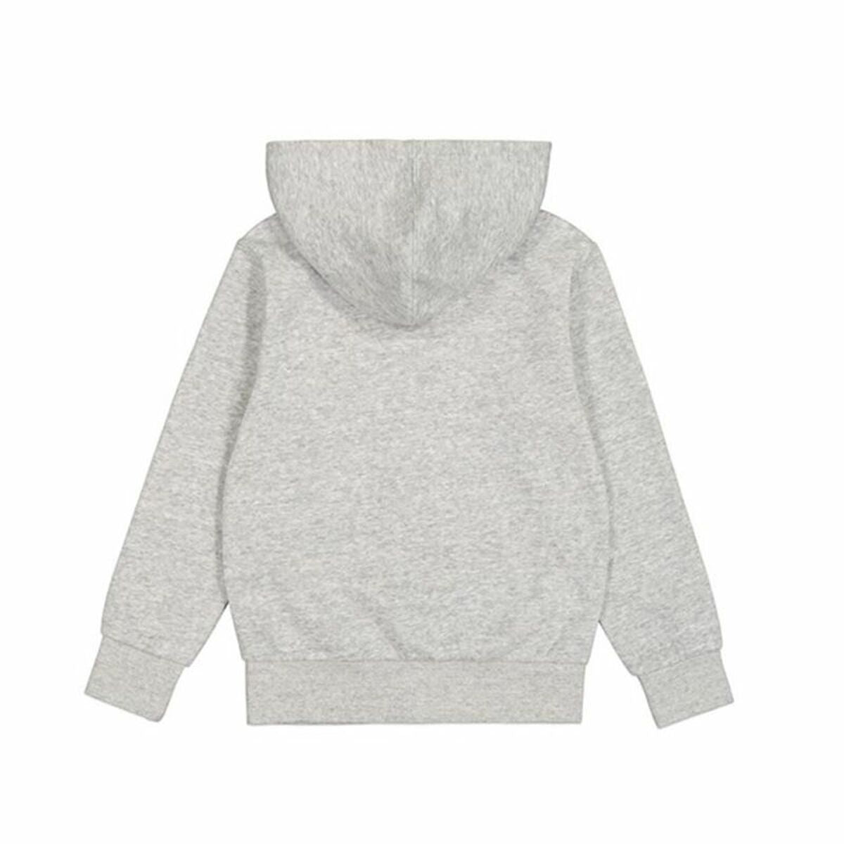 Men’s Hoodie Champion Light grey-1