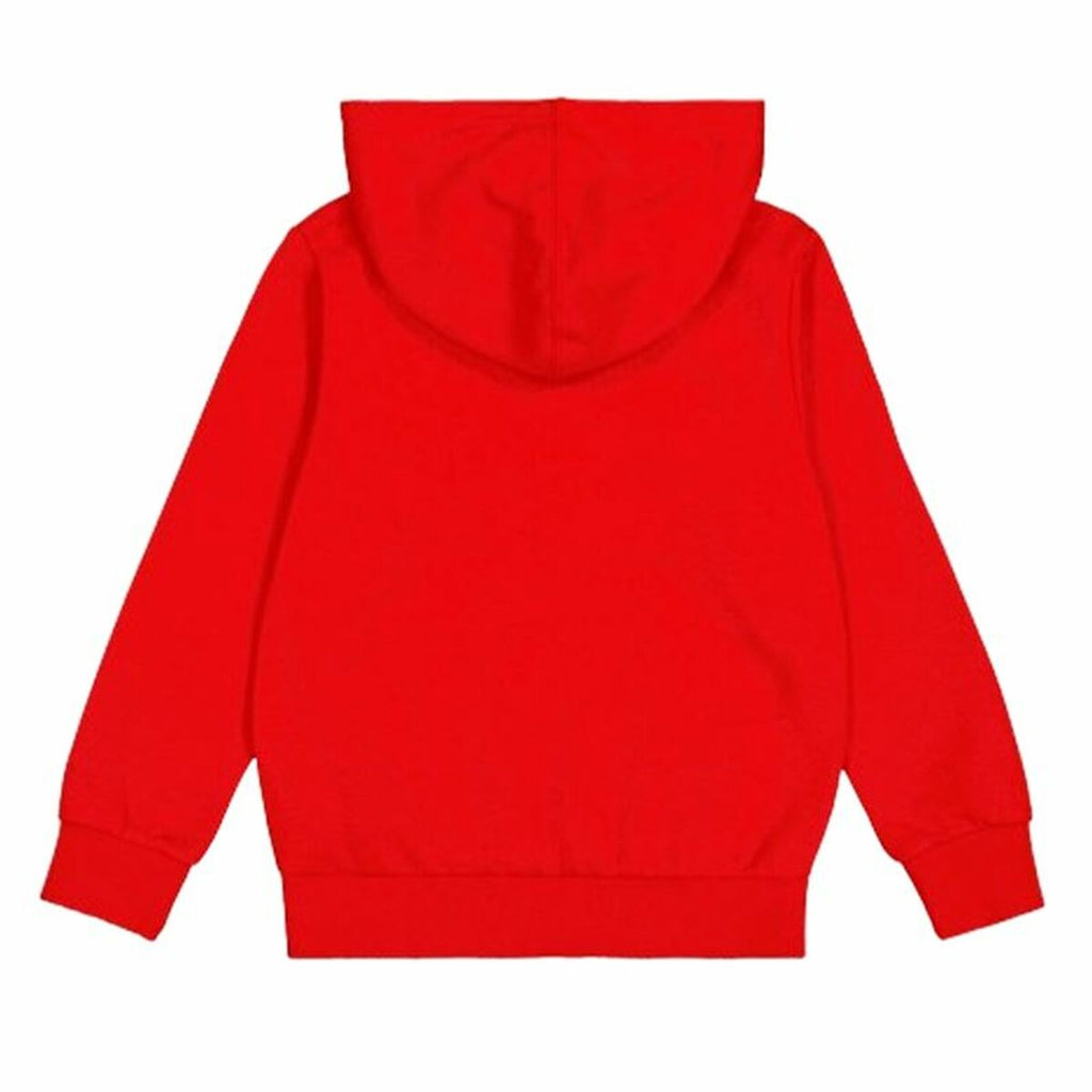 Men’s Hoodie Champion-2