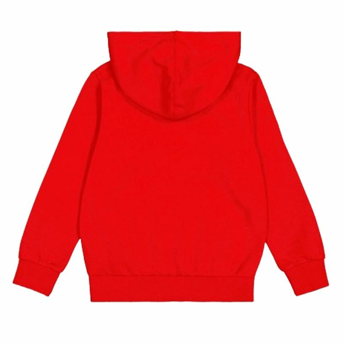 Men’s Hoodie Champion-2