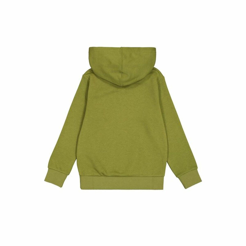 Men’s Hoodie Champion Green-2