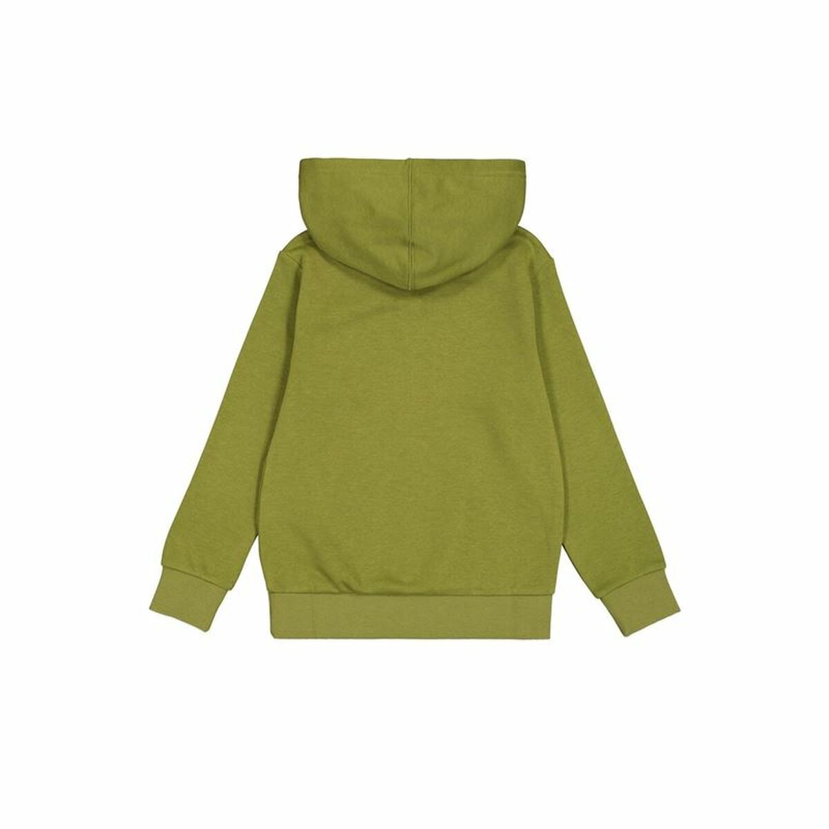 Men’s Hoodie Champion Green-2
