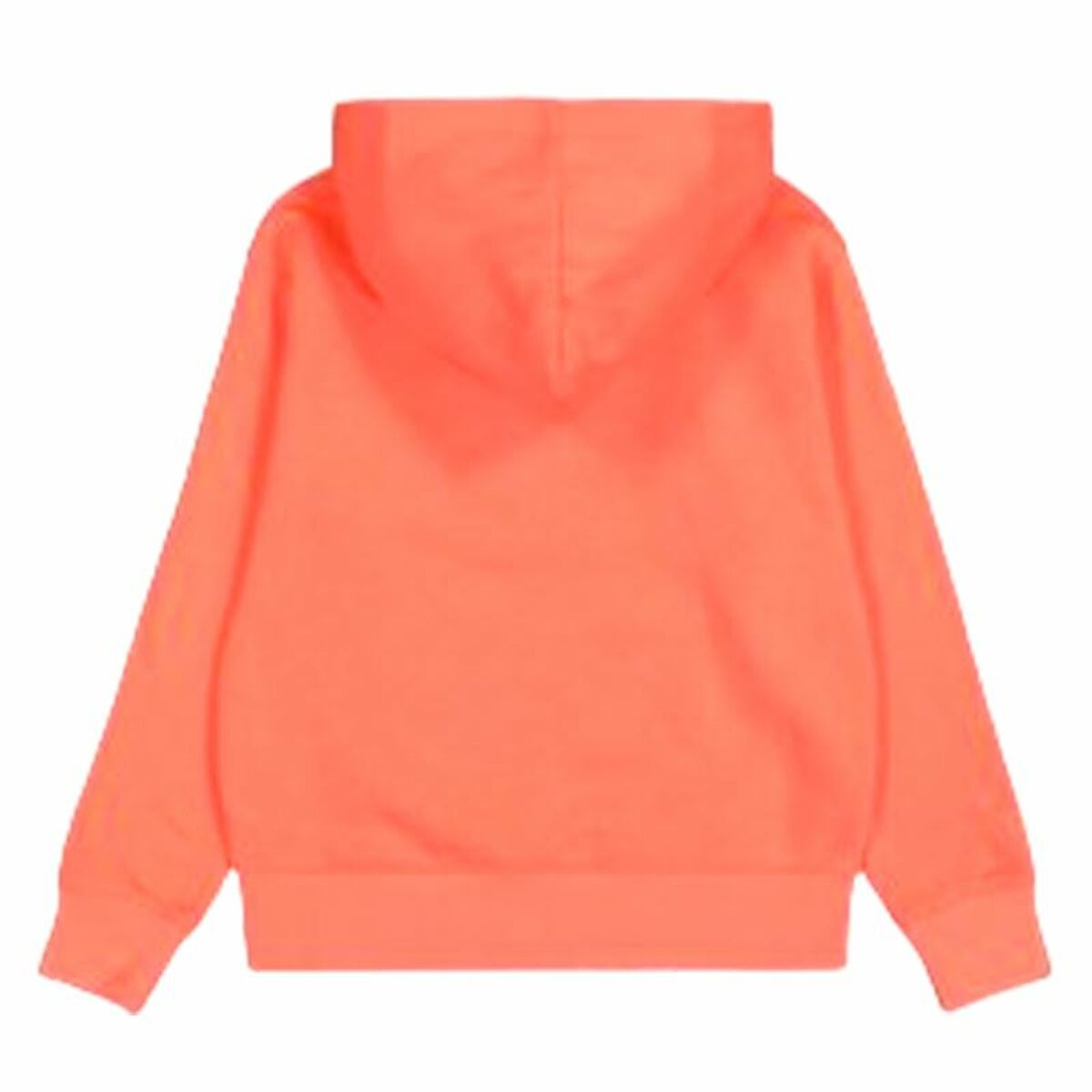 Men’s Hoodie Champion-2