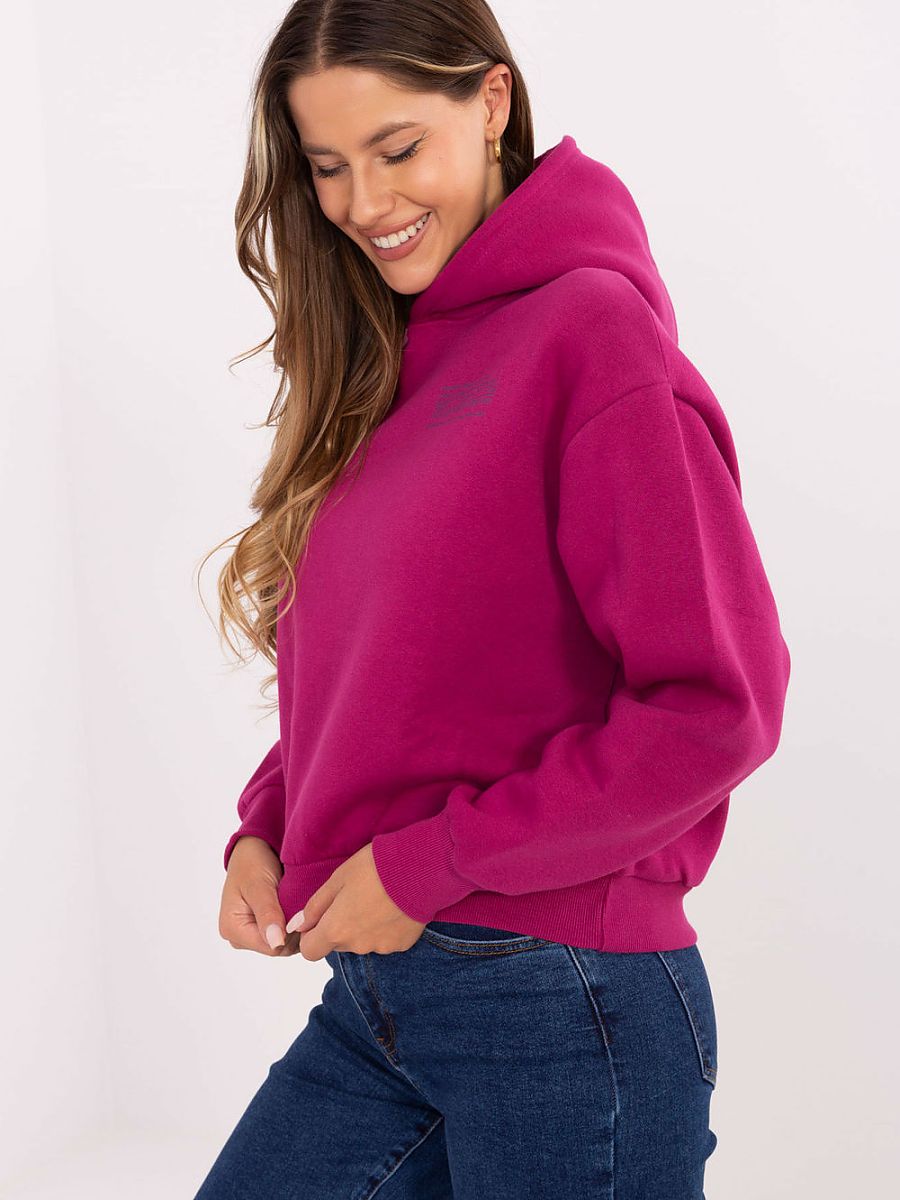Sweatshirt model 218223 Sublevel-1