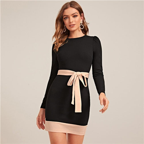Two Tone Elegant Bodycon Dress With Belt Women Spring Long Sleeve Zipper Back High Waist Office Lady Short Pencil Dresses-5