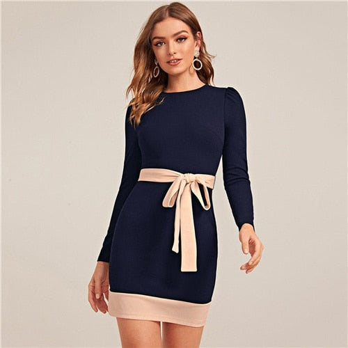 Two Tone Elegant Bodycon Dress With Belt Women Spring Long Sleeve Zipper Back High Waist Office Lady Short Pencil Dresses-1