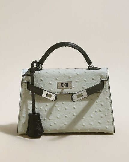 Swift Textured Leather Structured Top Handle Bag-2